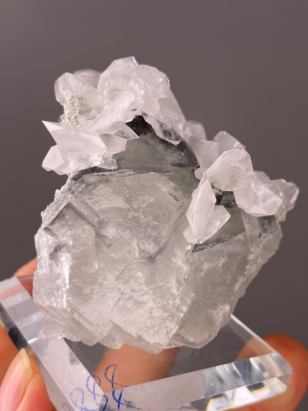 Fluorite with Calcite specimen from Fujian, China bearing gray calcite with white overgrowth