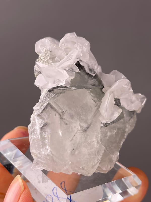 Natural Fluorite with Calcite specimen from Fujian, China with gray calcite with white overgrowth