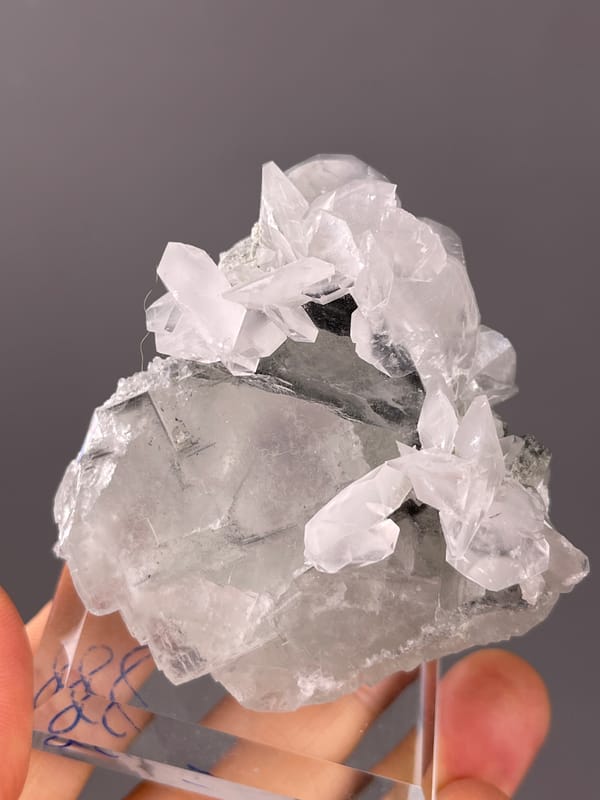 Fluorite with Calcite specimen from Fujian, China, gray calcite with white overgrowth