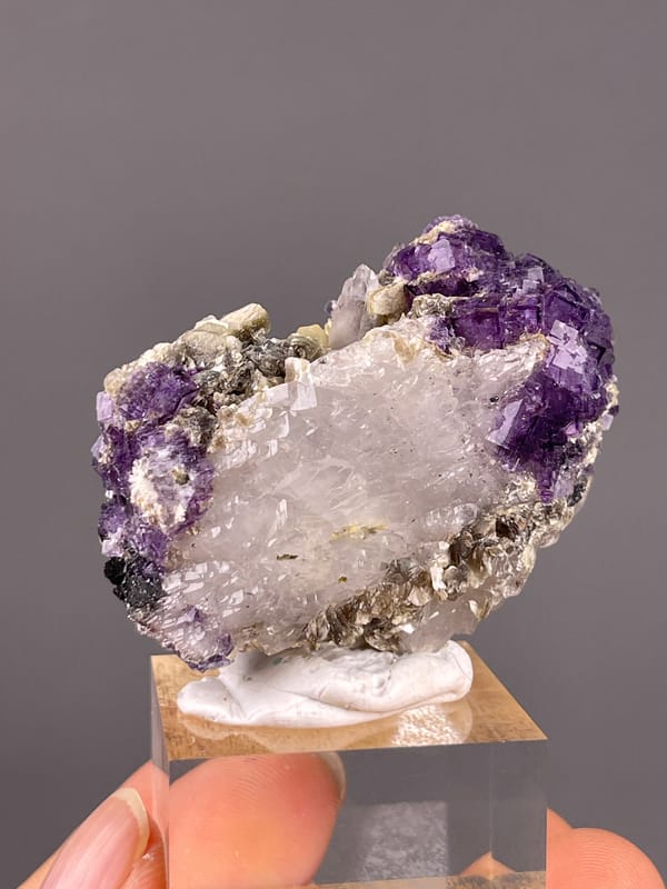 Fluorite from Yaogangxian, Hunan, China: whole mounted purple-and-white mineral association.