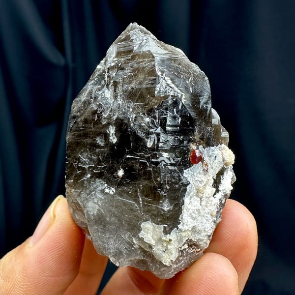 Large dark smoky quartz crystal with garnet and hyalite from Yunxiao, Fujian, China, view 3 of 6