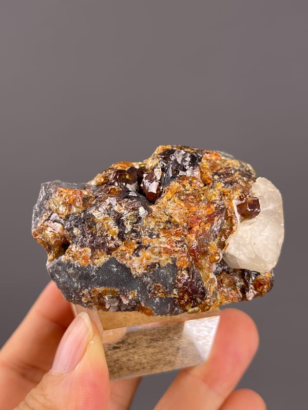 Garnet from Yunxiao, Fujian, China: reflective brown garnets scattered across matrix.