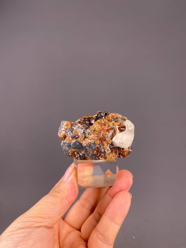 Garnet from Yunxiao, Fujian, China: whole mounted specimen above the palm.