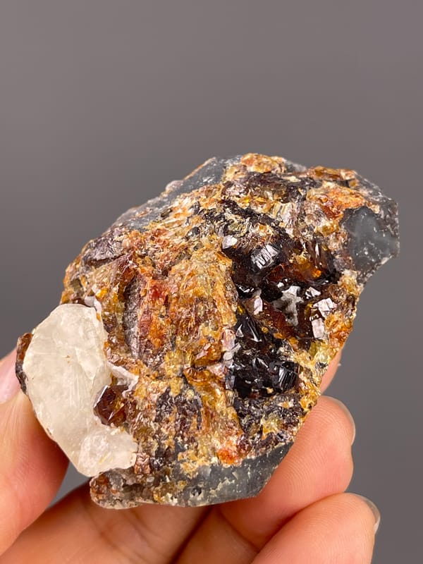 Garnet from Yunxiao, Fujian, China: dark red-brown garnets across rusty matrix.