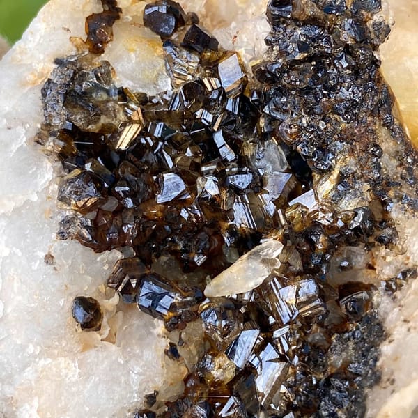Plate of gemmy brown cassiterite on white quartz from Yunnan, China, view 5 of 9