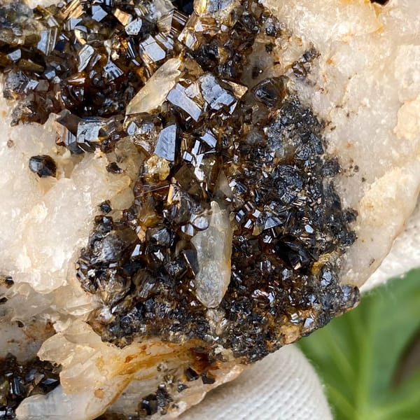 Plate of gemmy brown cassiterite on white quartz from Yunnan, China, view 6 of 9