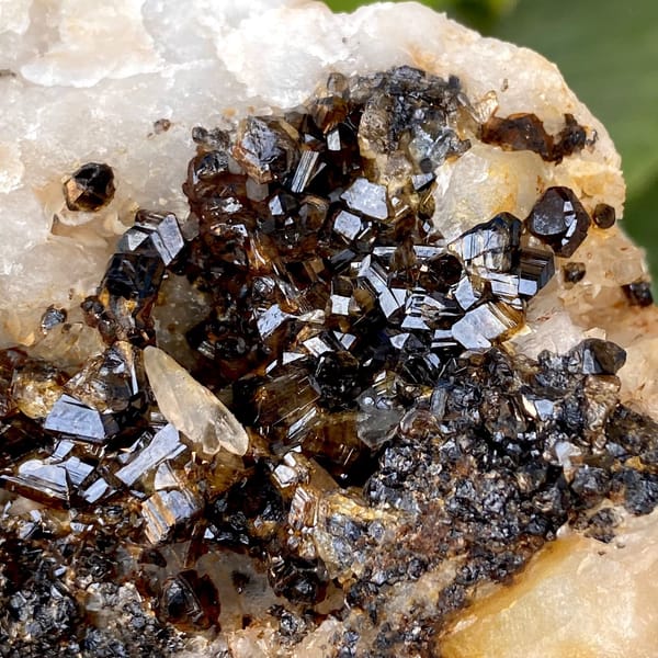 Plate of gemmy brown cassiterite on white quartz from Yunnan, China, view 7 of 9