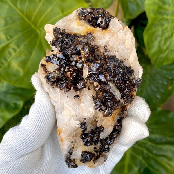 Plate of gemmy brown cassiterite on white quartz from Yunnan, China, view 9 of 9