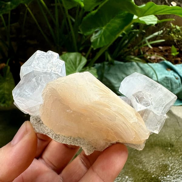Glassy apophyllite crystals with peach stilbite from India