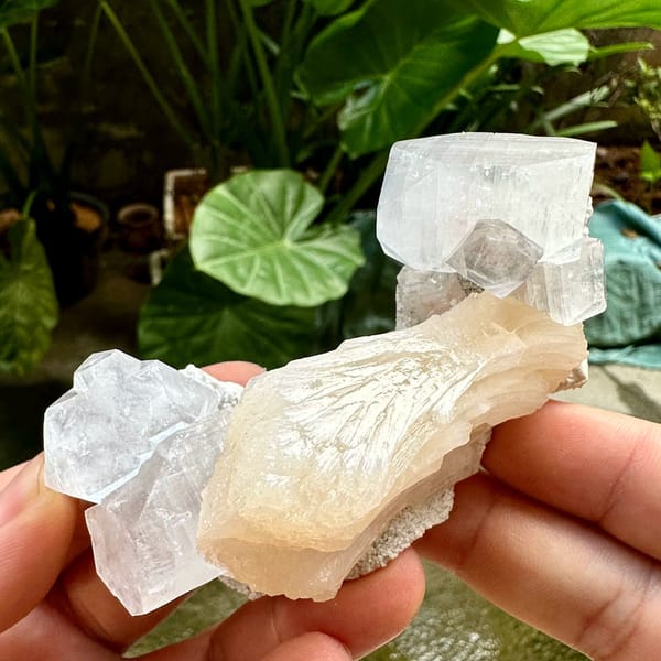 Glassy apophyllite crystals with peach stilbite from India, view 2 of 6