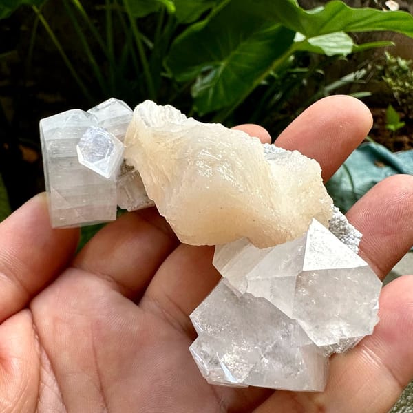 Glassy apophyllite crystals with peach stilbite from India, view 3 of 6