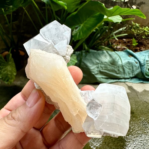 Glassy apophyllite crystals with peach stilbite from India, view 5 of 6