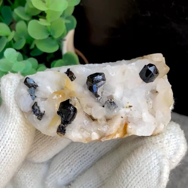 Glossy black cassiterite crystals on white quartz from Yunnan, China