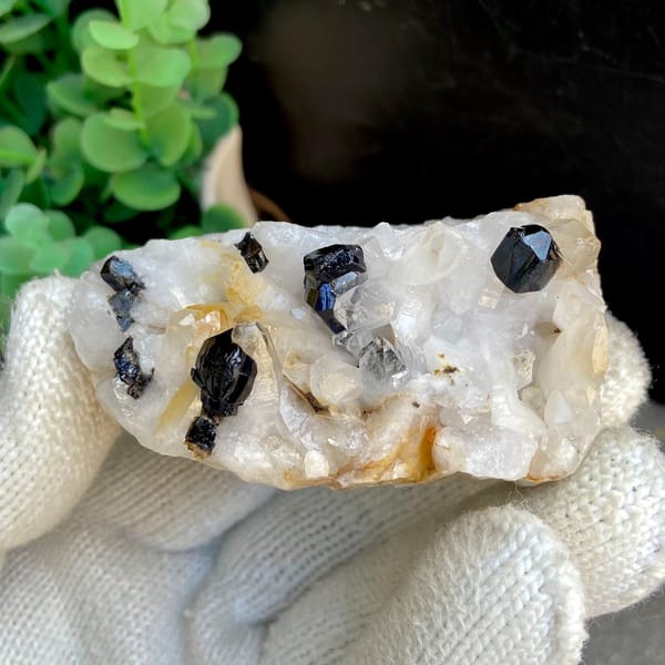 Glossy black cassiterite crystals on white quartz from Yunnan, China, view 2 of 9