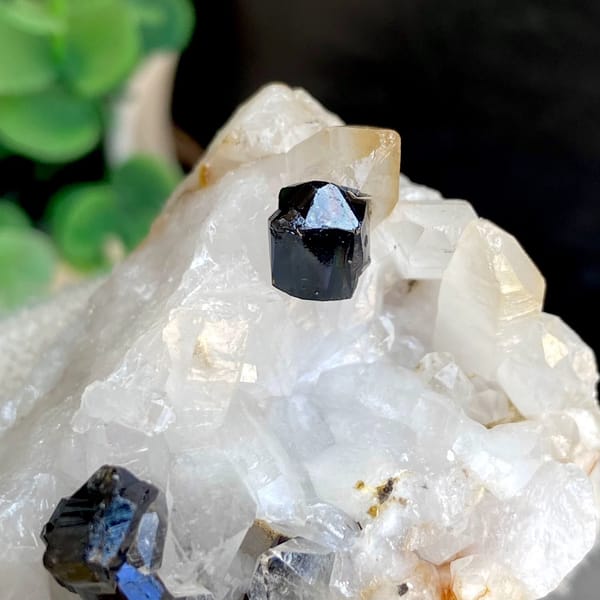 Glossy black cassiterite crystals on white quartz from Yunnan, China, view 5 of 9