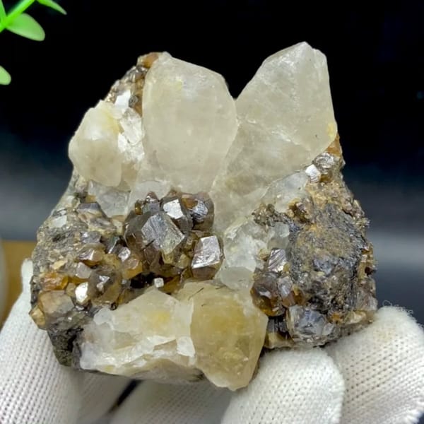 Glossy brown cassiterite crystals below pale quartz points from Yunnan, China