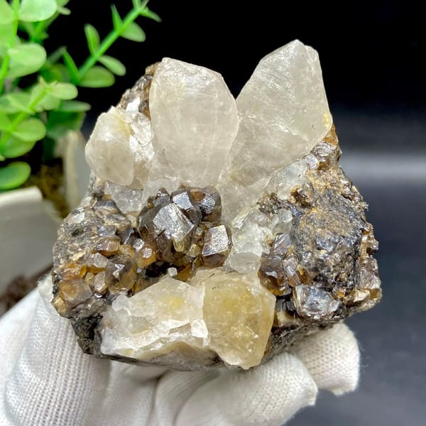 Glossy brown cassiterite crystals below pale quartz points from Yunnan, China, view 2 of 9