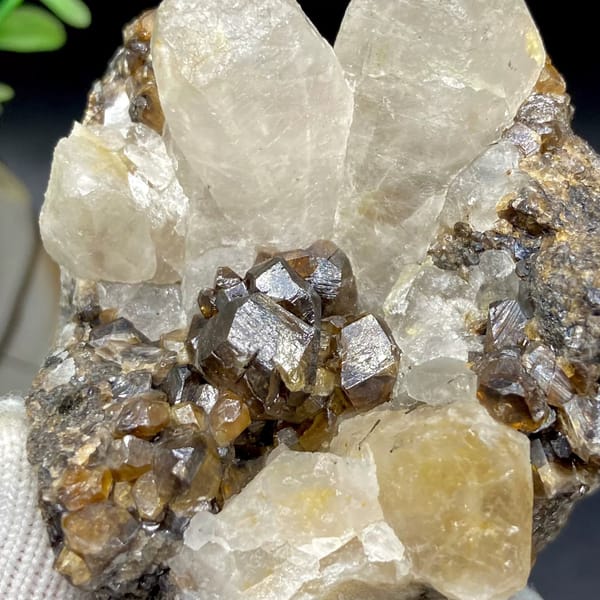 Glossy brown cassiterite crystals below pale quartz points from Yunnan, China, view 3 of 9