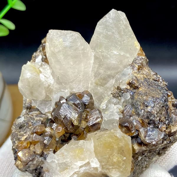 Glossy brown cassiterite crystals below pale quartz points from Yunnan, China, view 4 of 9