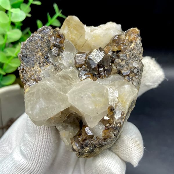 Glossy brown cassiterite crystals below pale quartz points from Yunnan, China, view 5 of 9