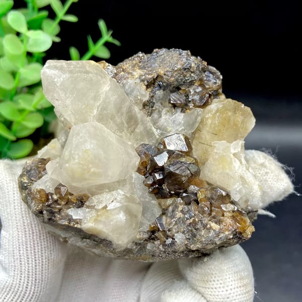 Glossy brown cassiterite crystals below pale quartz points from Yunnan, China, view 6 of 9