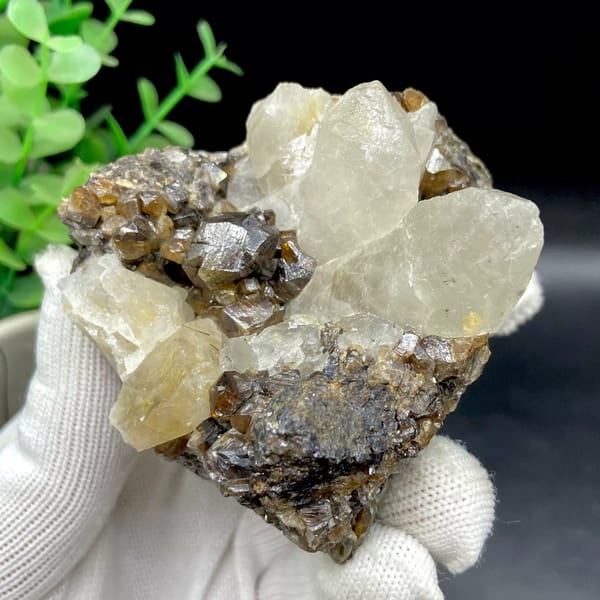 Glossy brown cassiterite crystals below pale quartz points from Yunnan, China, view 7 of 9