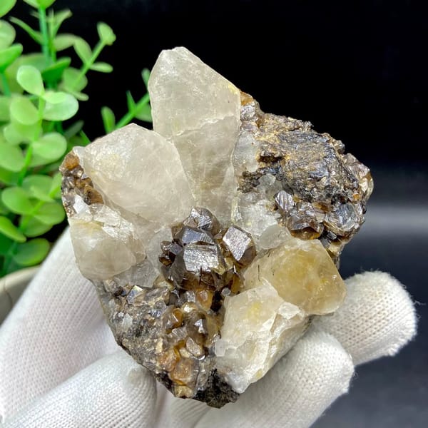 Glossy brown cassiterite crystals below pale quartz points from Yunnan, China, view 8 of 9