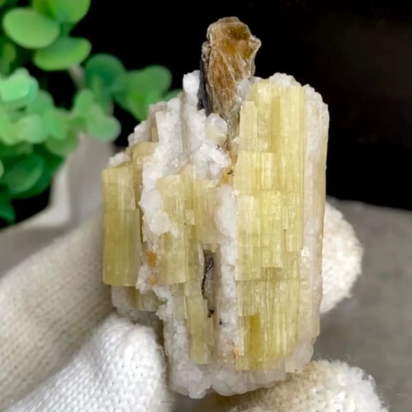 Golden prismatic topaz columns with brown crystal on top from Germany