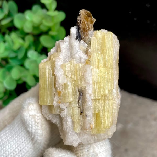 Golden prismatic topaz columns with brown crystal on top from Germany, view 2 of 9