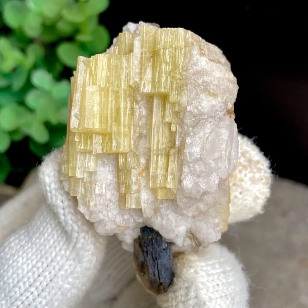 Golden prismatic topaz columns with brown crystal on top from Germany, view 3 of 9