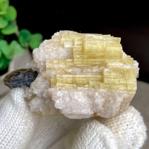 Golden prismatic topaz columns with brown crystal on top from Germany, view 4 of 9