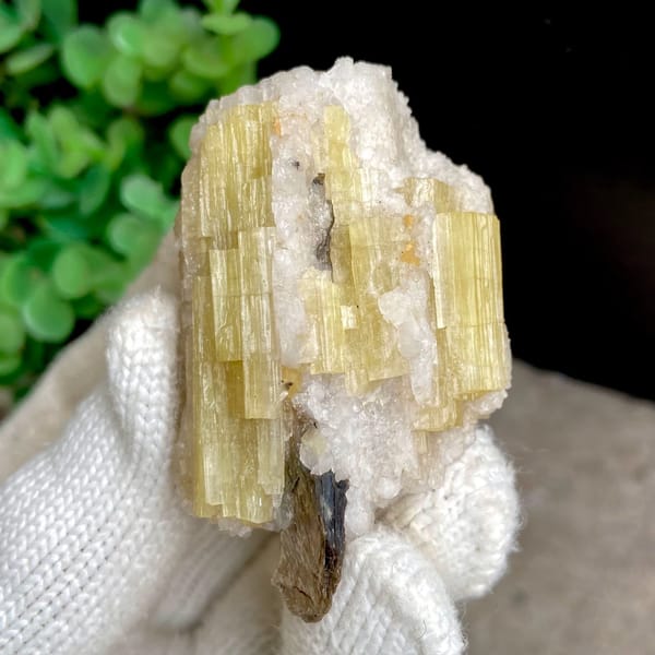 Golden prismatic topaz columns with brown crystal on top from Germany, view 7 of 9