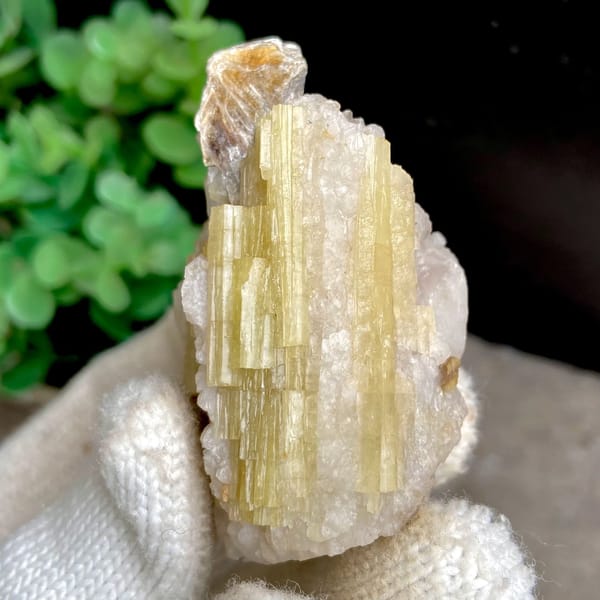 Golden prismatic topaz columns with brown crystal on top from Germany, view 8 of 9