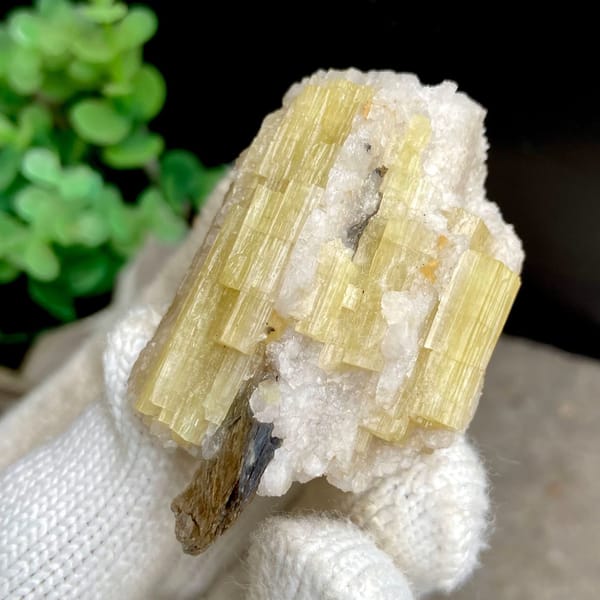 Golden prismatic topaz columns with brown crystal on top from Germany, view 9 of 9