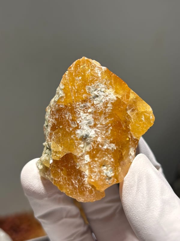 Golden scheelite with mica from Xuebaoding, Sichuan, China, held in gloved hand