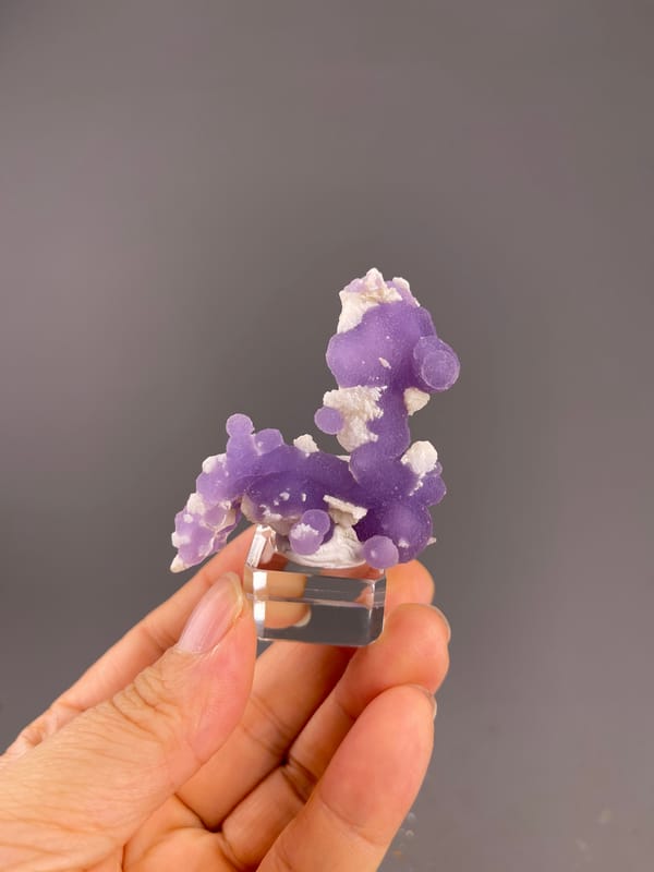 Grape Agate from Indonesia: horse-like purple outline with white accents.