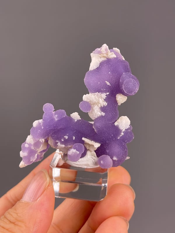 Grape Agate from Indonesia: upright purple lobes with pale surface patches.