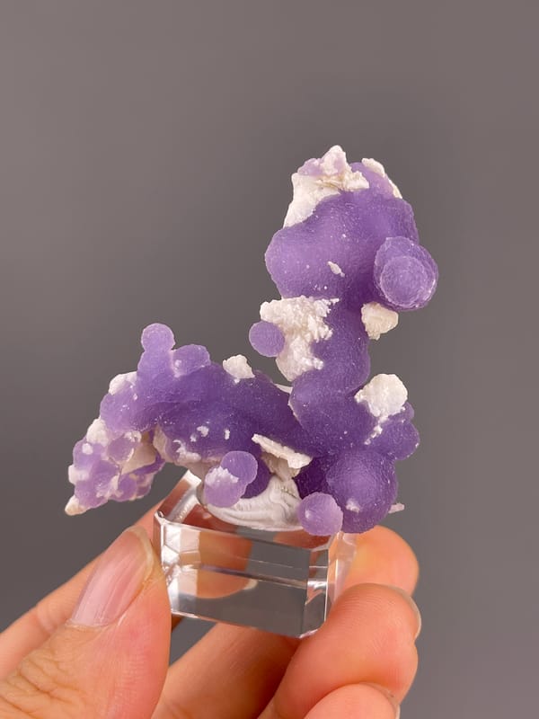 Grape Agate from Indonesia: front view of curved purple botryoidal growths.