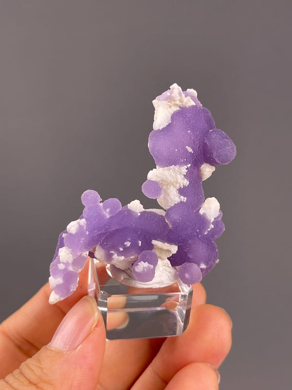Grape Agate from Indonesia: side angle of the long-necked purple outline.
