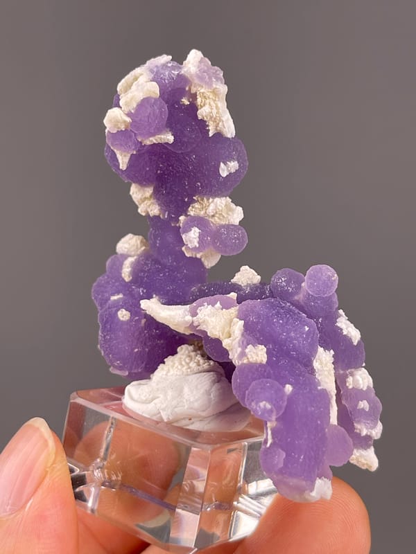 Grape Agate from Indonesia: back view of branching purple rounded growths.