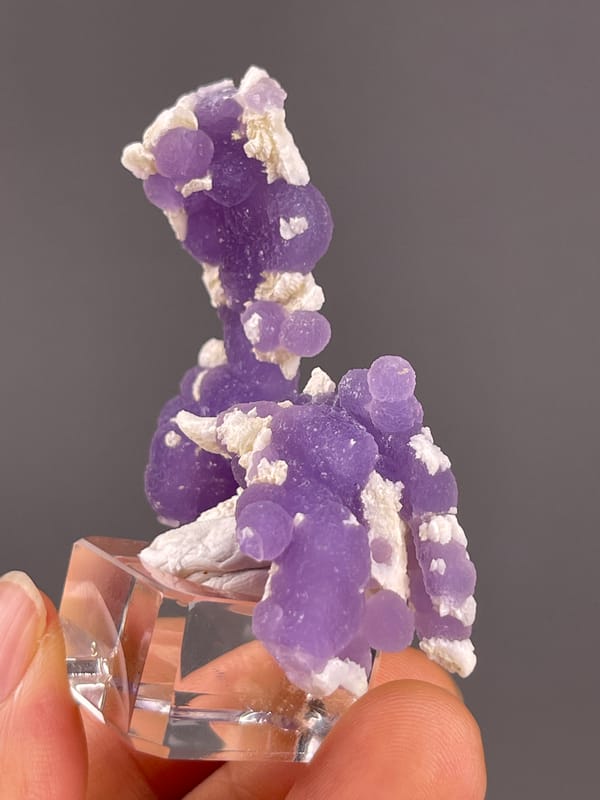 Grape Agate from Indonesia: oblique reverse showing purple lobes and white accents.