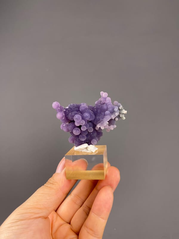 Grape Agate from Indonesia: whole mounted specimen seen from the back.