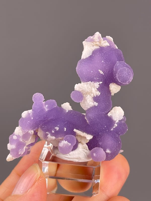 Grape Agate from Indonesia: broad side of the horse-like purple cluster.
