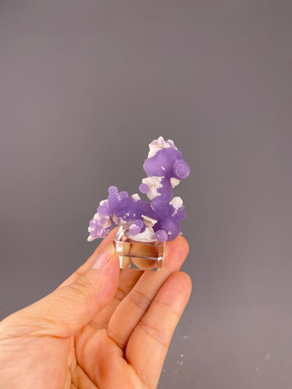 Grape Agate from Indonesia: whole mounted purple specimen above the palm.