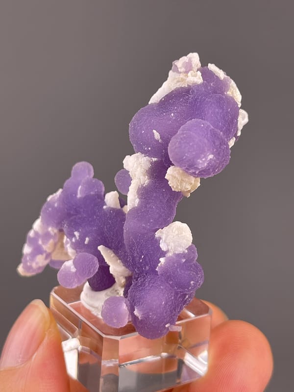 Grape Agate from Indonesia: close view of the horse-like purple outline and white accents.