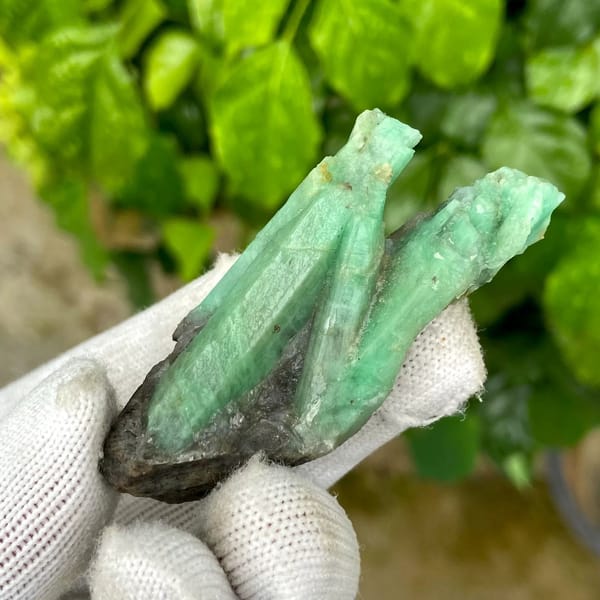 Two green emerald prisms in dark mica schist from Yunnan, China, view 2 of 9