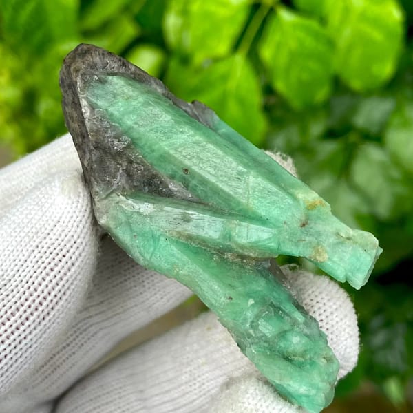 Two green emerald prisms in dark mica schist from Yunnan, China, view 5 of 9