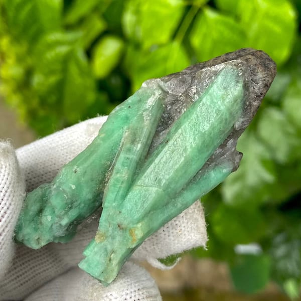Two green emerald prisms in dark mica schist from Yunnan, China, view 6 of 9