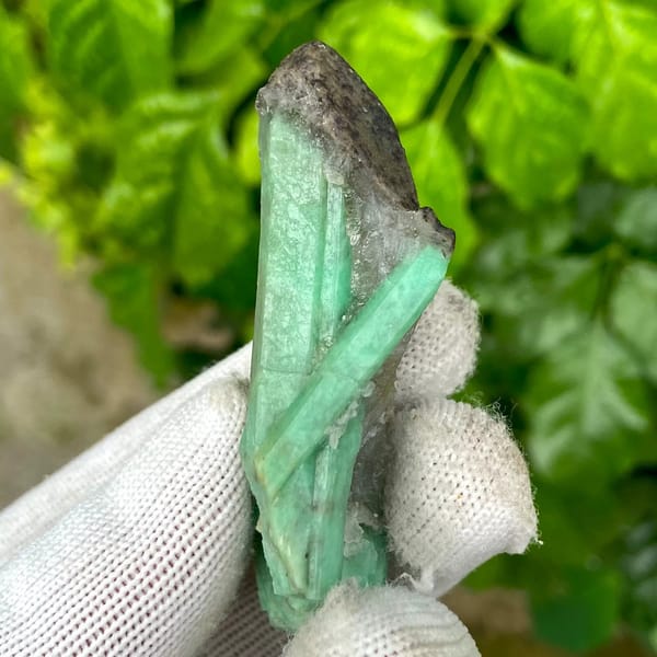 Two green emerald prisms in dark mica schist from Yunnan, China, view 7 of 9