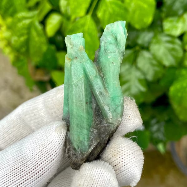 Two green emerald prisms in dark mica schist from Yunnan, China, view 8 of 9